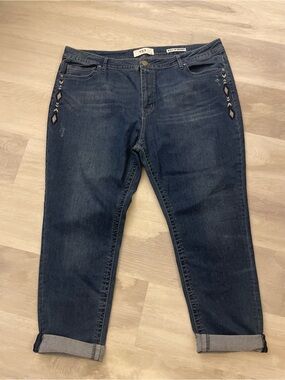 VGS Roll Up Skinny Jeans ~ Embroidered ~ 24